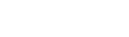 Logo incognito weiß